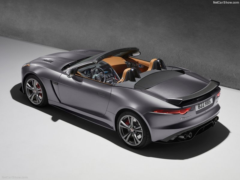 Jaguar F Type Svr Elle D 233 Boule 224 Toute Vitesse